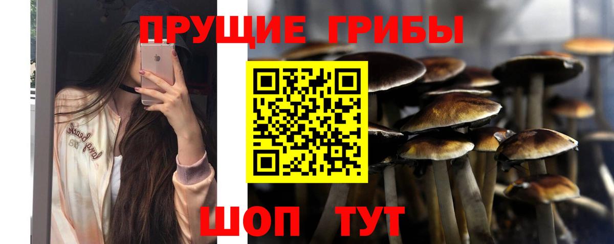 Мичуринск  Галлюциногенные грибы ЛСД  Вход с VPN 